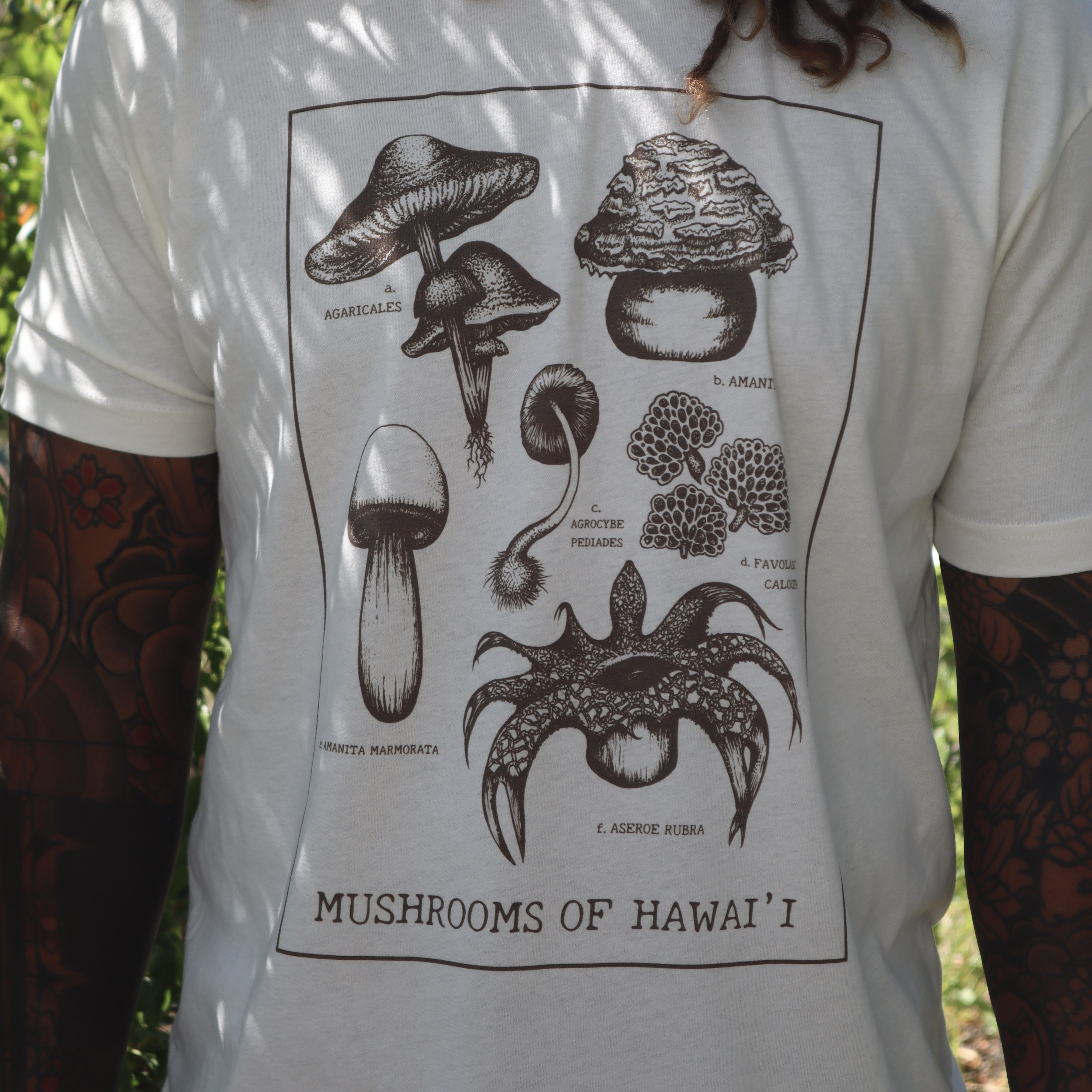 mushrooms-of-HI-tee